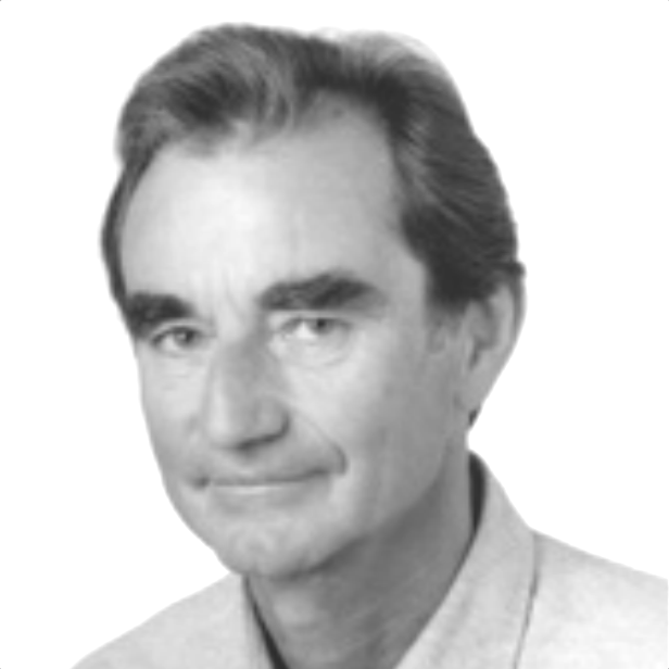 Die Herrschaftsstruktur des Faschismus: Folgerungen und Fehldeutungen